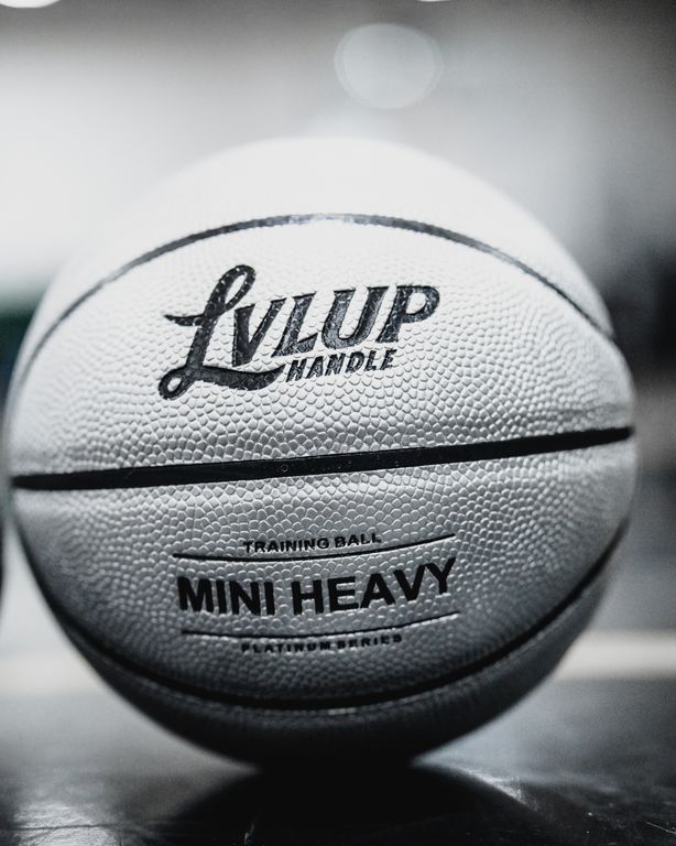 Lvlup Handle Product Shot — photograph 9