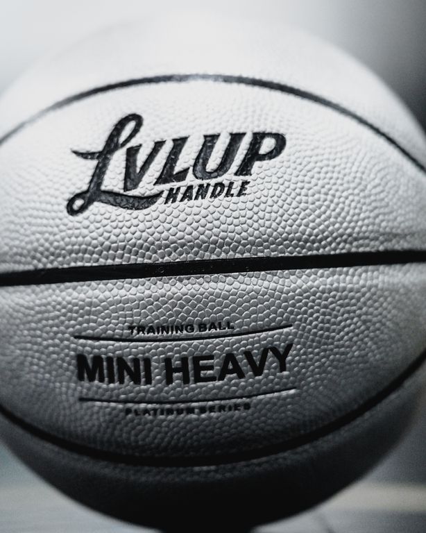 Lvlup Handle Product Shot — photograph 11